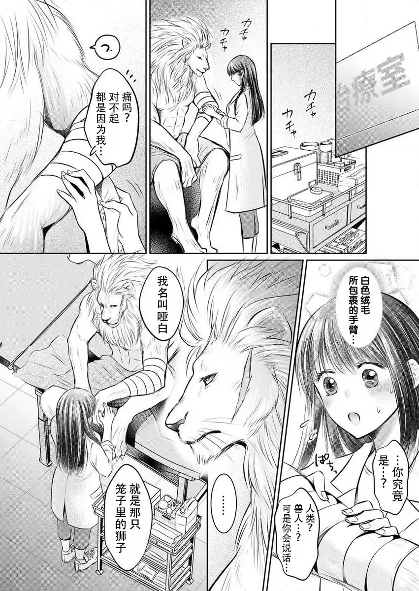 [Amazato] Hatsukoi Otome wa Shirogane Shishi no Netsu o Yadosu  | 沉溺于白银狮子炽热的初恋处女 1 Fhentai - Page 15