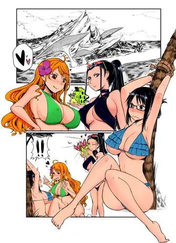 [Yuriwhale] Robin Nami Medley Fhentai - Page 3