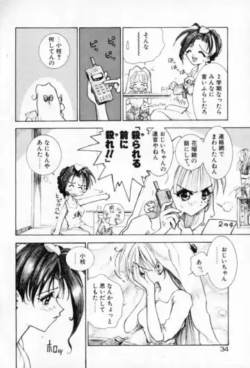 [Sakanaya Kadan] Vatican Violet Fhentai - Page 34