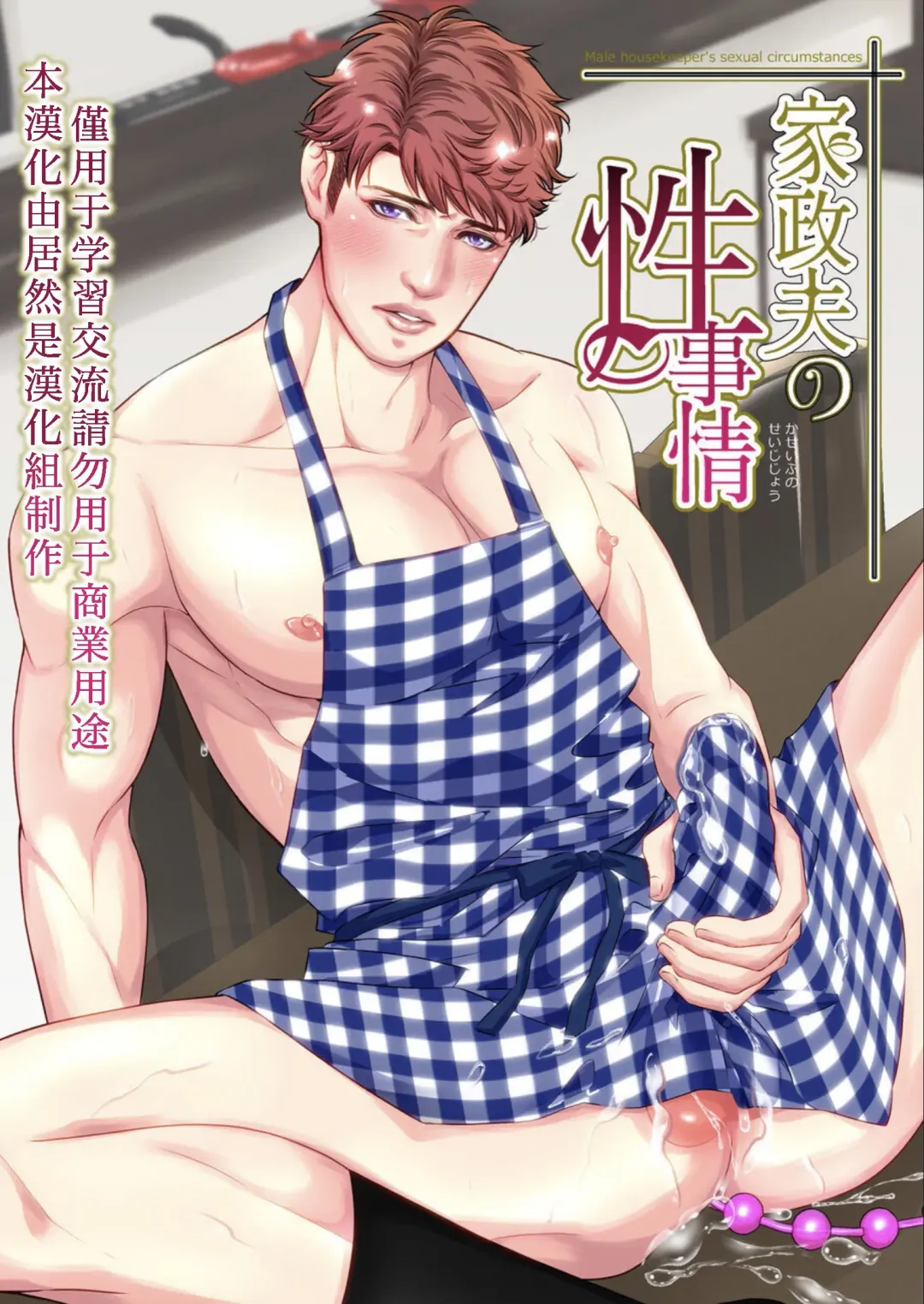 [Yoshiaki] Kaseifu no Seijijou - Male housekeeper's sexual circumstances Fhentai - Page 2