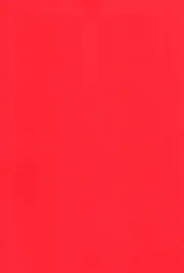 [Inuyashiki] AV nai Souryo-kun Fhentai - Page 2