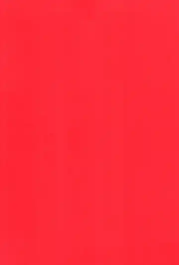 [Inuyashiki] AV nai Souryo-kun Fhentai - Page 23