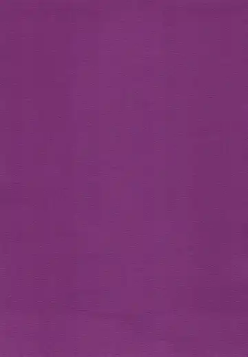 [Inuyashiki] Mou Koi nante Shinai! Fhentai - Page 15