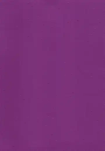 [Inuyashiki] Mou Koi nante Shinai! Fhentai - Page 2