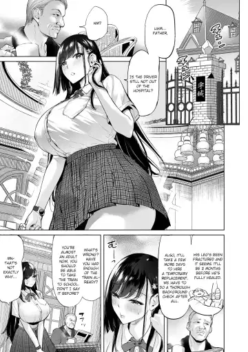 [Ere 2 Earo] Ojou-sama Chikan Train Fhentai - Page 5