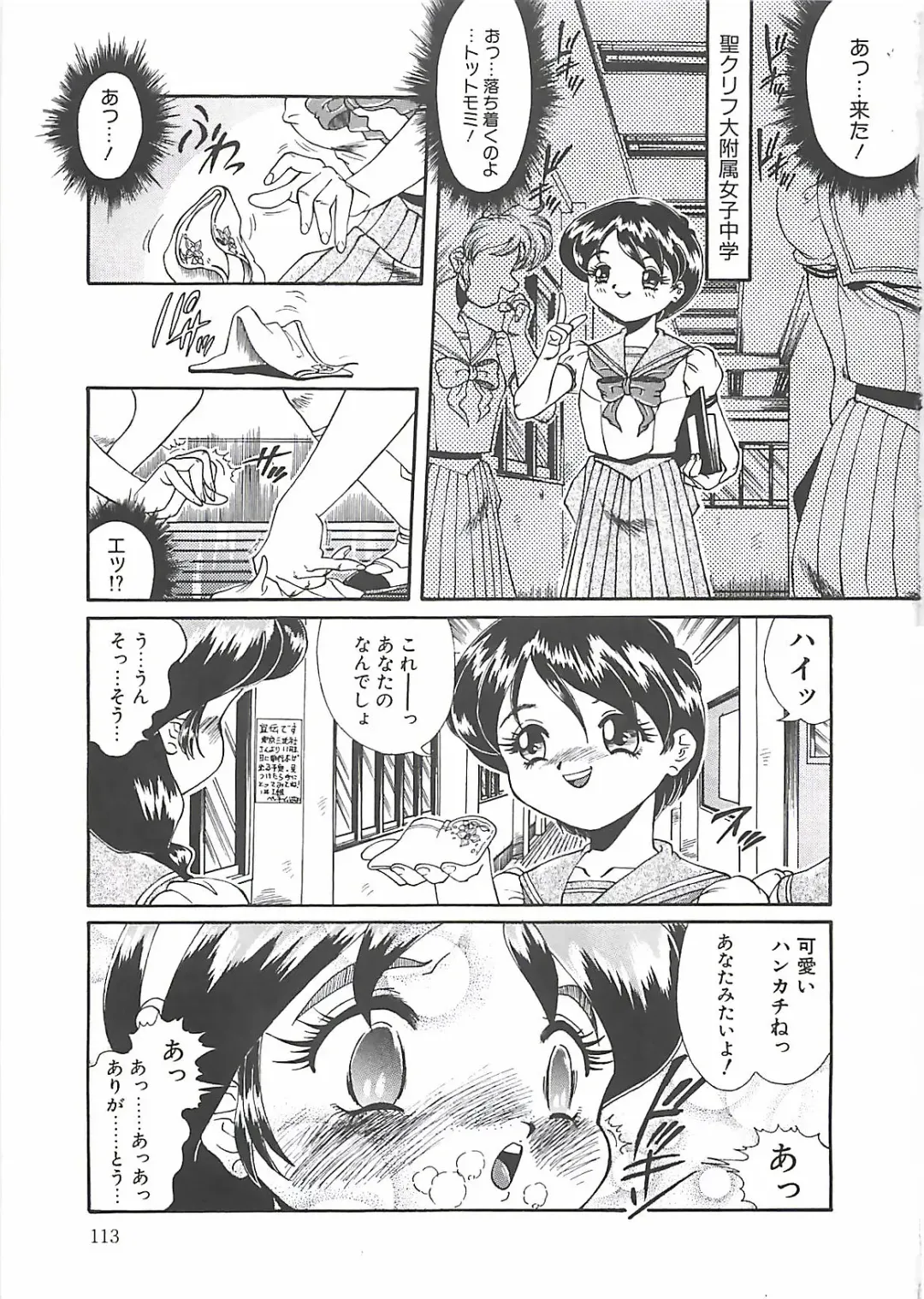 [Penname Wa Nai] Shoujo Choukyouroku Fhentai - Page 115