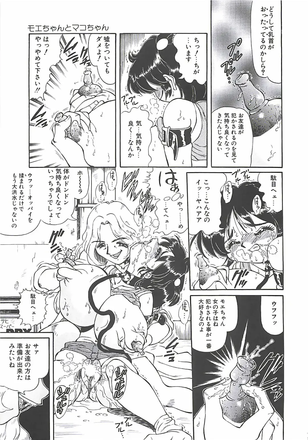 [Penname Wa Nai] Shoujo Choukyouroku Fhentai - Page 17