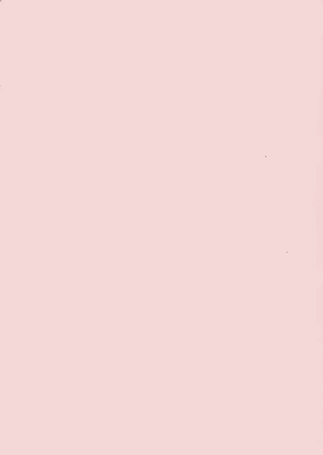 [Penname Wa Nai] Shoujo Choukyouroku Fhentai - Page 4