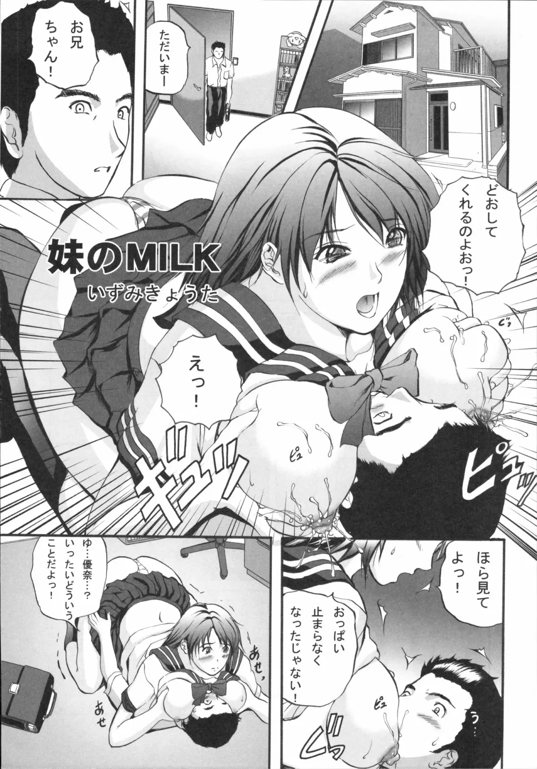 Shinzui Vol. 3 Fhentai - Page 17