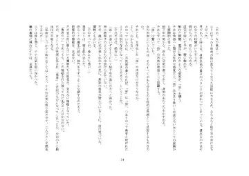 [Sinzan] Maou no Dorei ha Ona ni Otsu Fhentai - Page 19