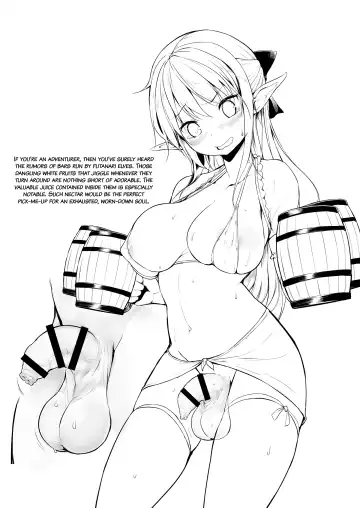 [Messy] Futanari Elf-chan Sub-Quest Fhentai - Page 11