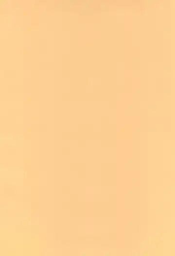 [Brother Bob] Anime Imouto Ou 1 Fhentai - Page 30