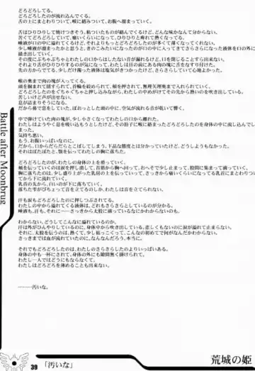 [Dpc - Muska] BATTLE OVER ALEFGARD Fhentai - Page 38