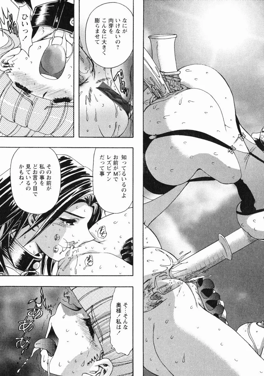 [Maro] Erotica Train Fhentai - Page 100