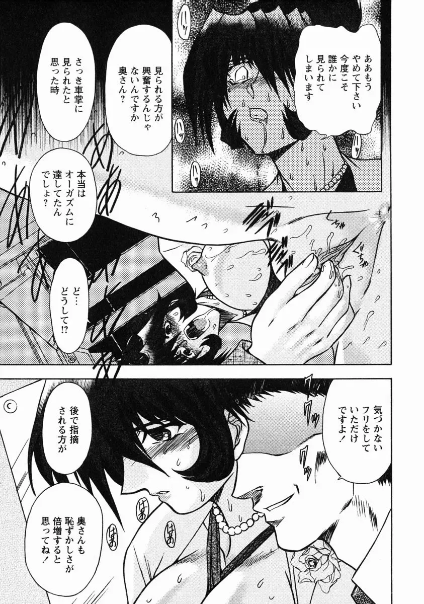 [Maro] Erotica Train Fhentai - Page 16