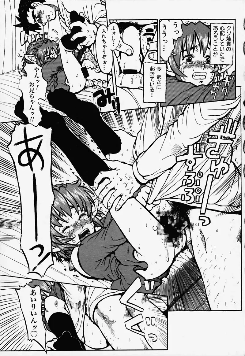 [Minasuki Popuri] Elf Ears Fhentai - Page 20