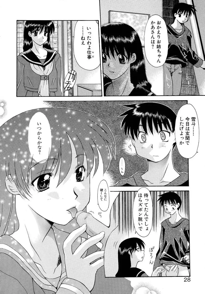 [Izawa Shinichi] Haitoku no Maria Fhentai - Page 27