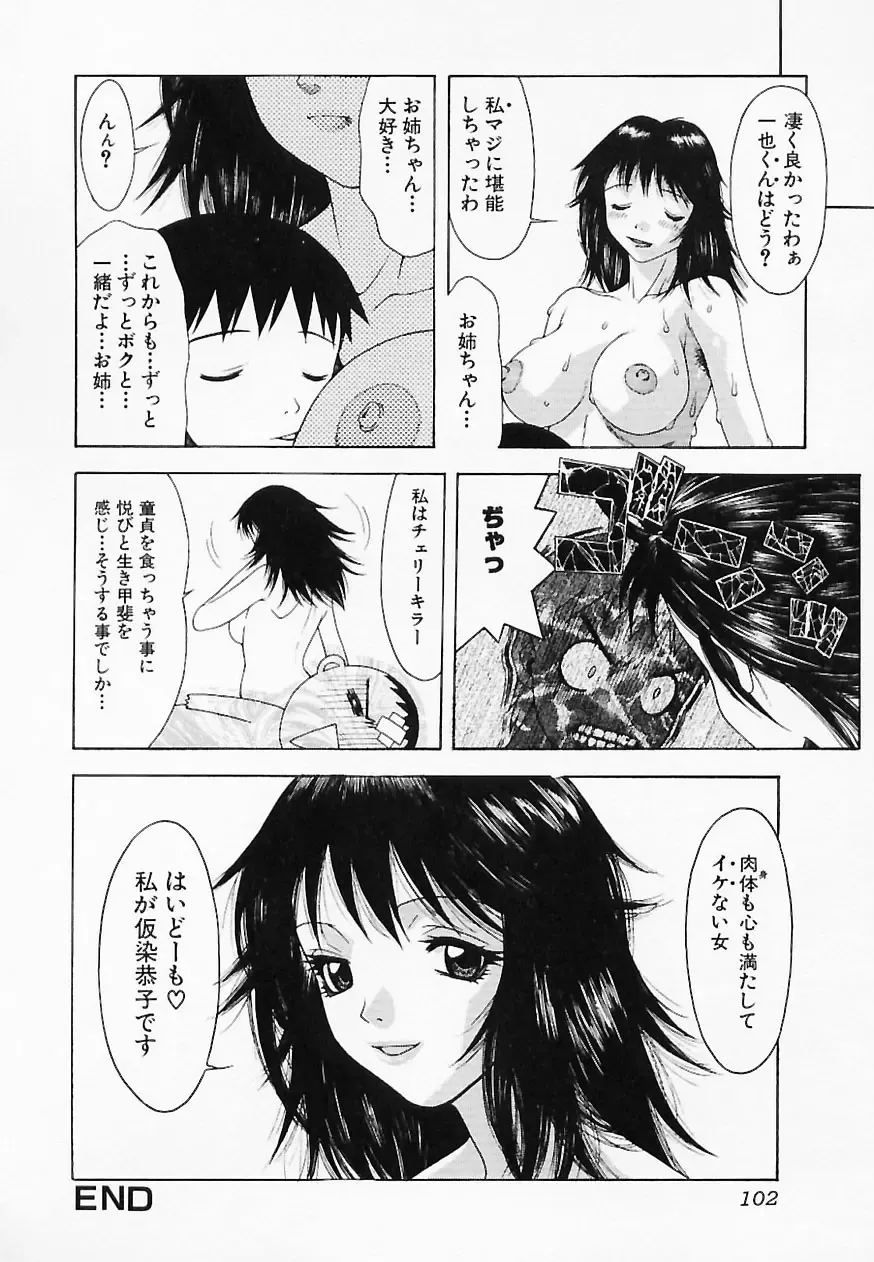 [Tsukimori Izumi] HITOMI & HITOSHI Fhentai - Page 102