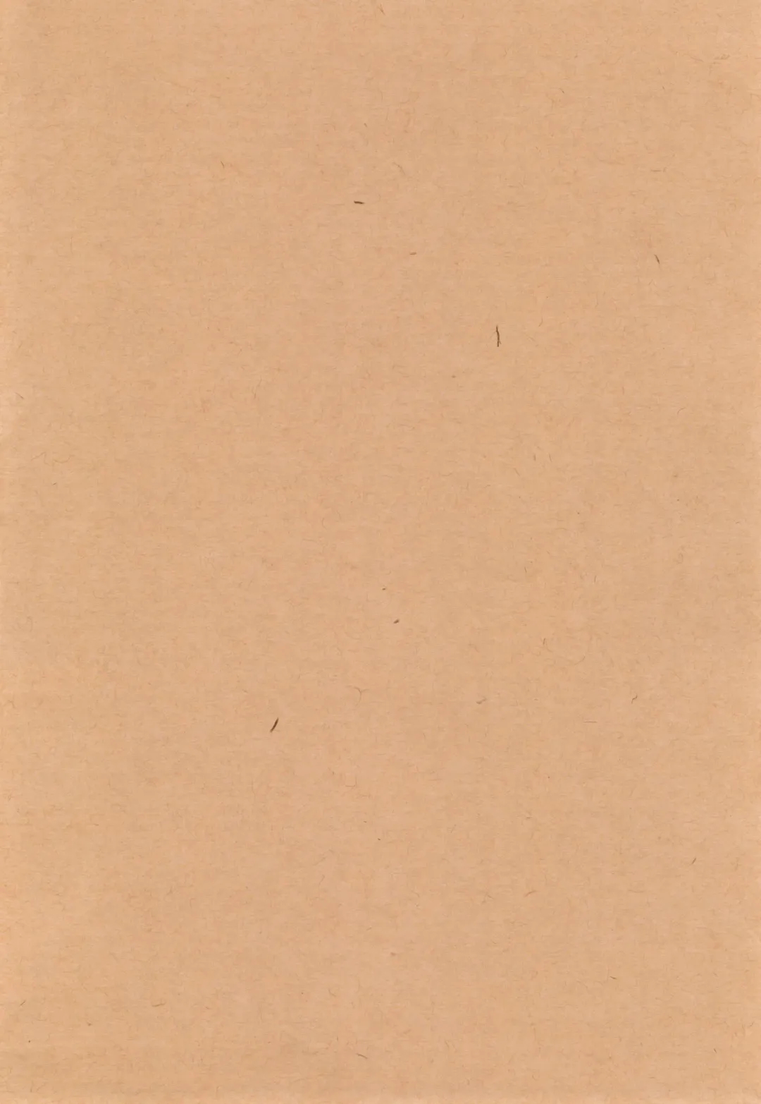 [Nami] Coffee*milk Fhentai - Page 4