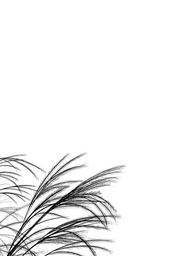 [Yukino Minato] Hikari no Kimi no Saganaki Keikaku <Nokiba no Ogi> (decensored) Fhentai - Page 20