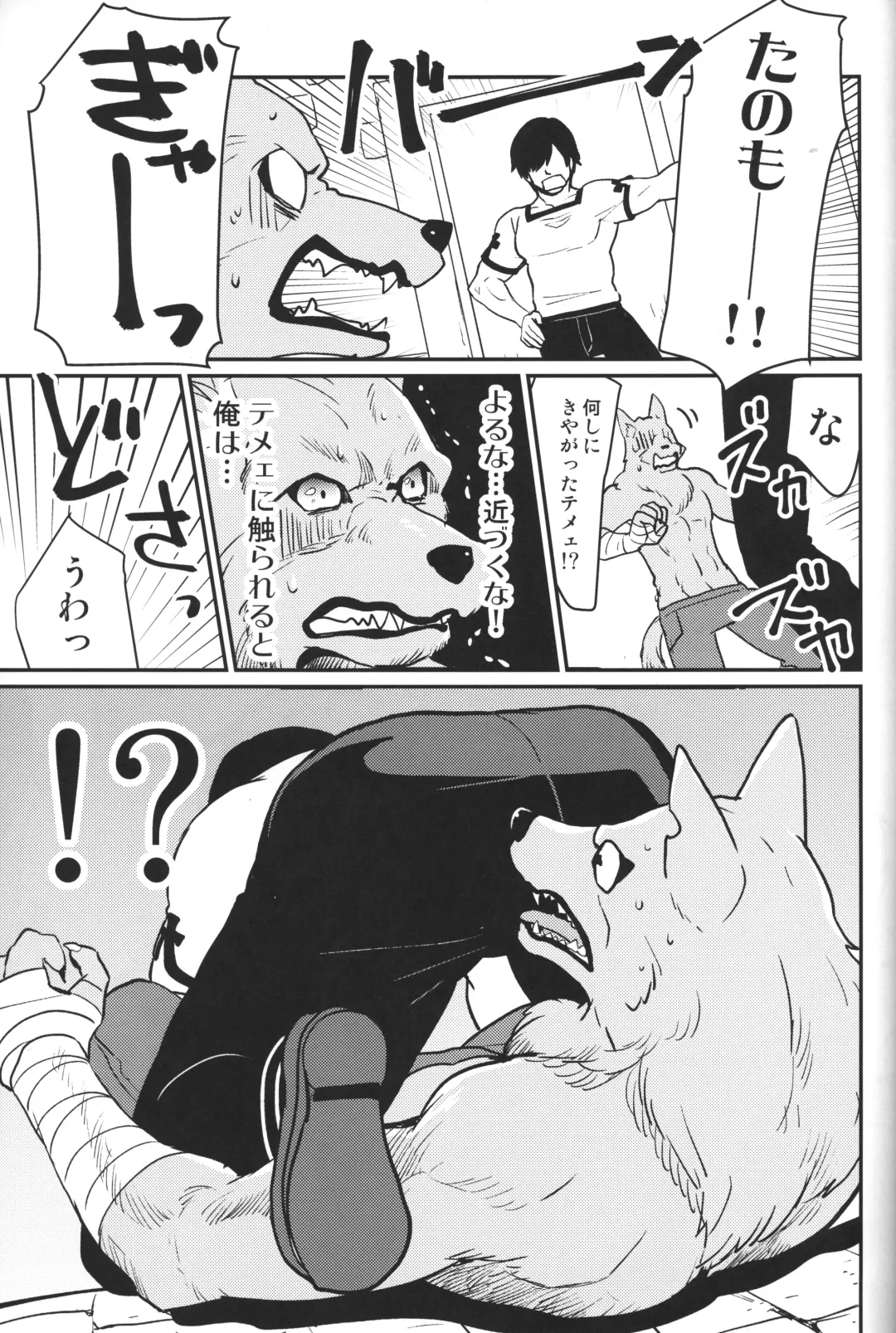 [Kandagawa Gufu - Kreuz] Sekuhara!! Kemono Michi Fhentai - Page 24