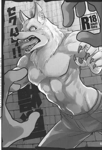 [Kandagawa Gufu - Kreuz] Sekuhara!! Kemono Michi Fhentai - Page 2