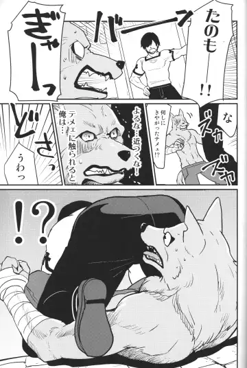 [Kandagawa Gufu - Kreuz] Sekuhara!! Kemono Michi Fhentai - Page 24