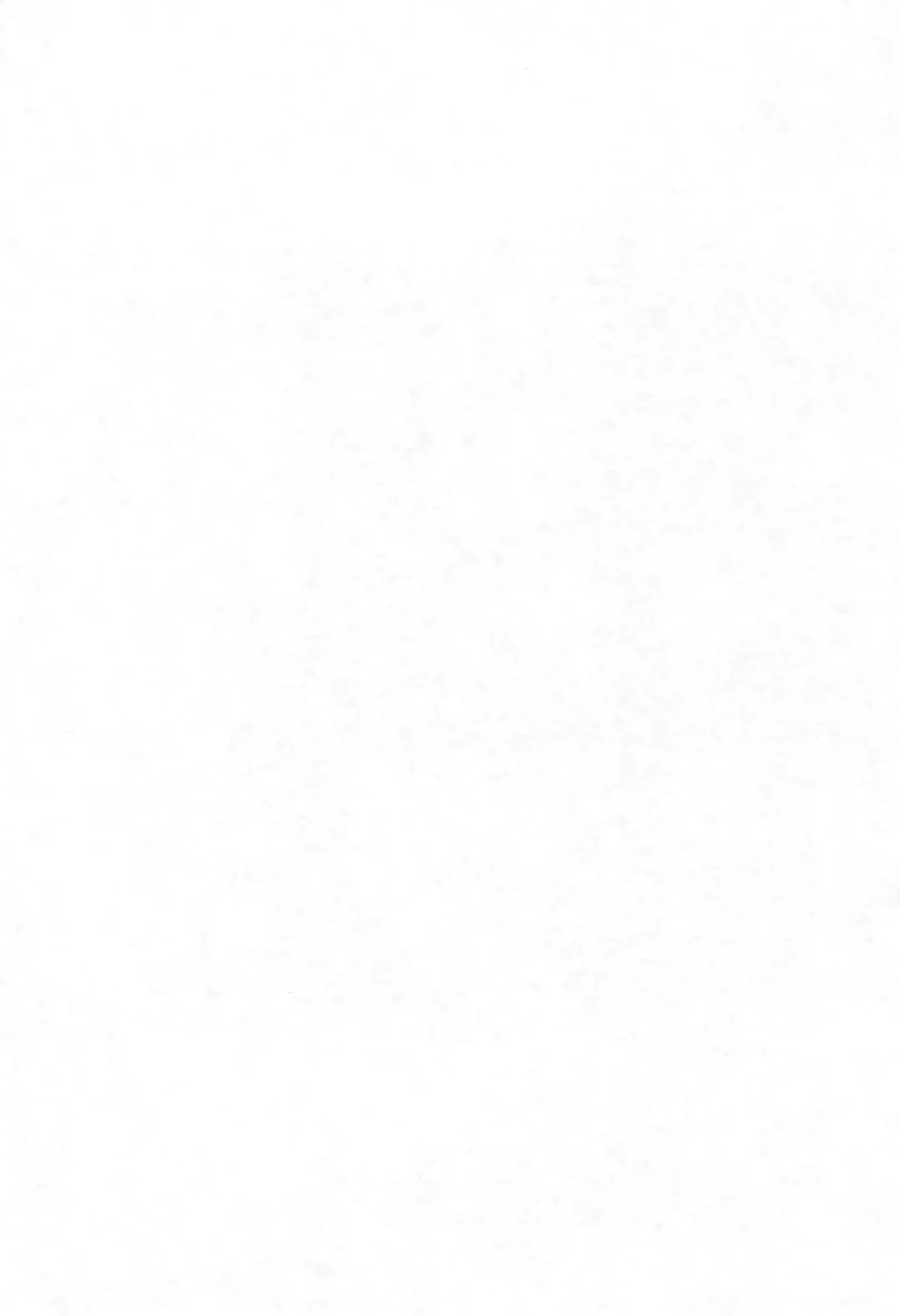 [Chouchin Ankou] Aniero Mix. 002 ~PPG2 only edition~ Fhentai - Page 3