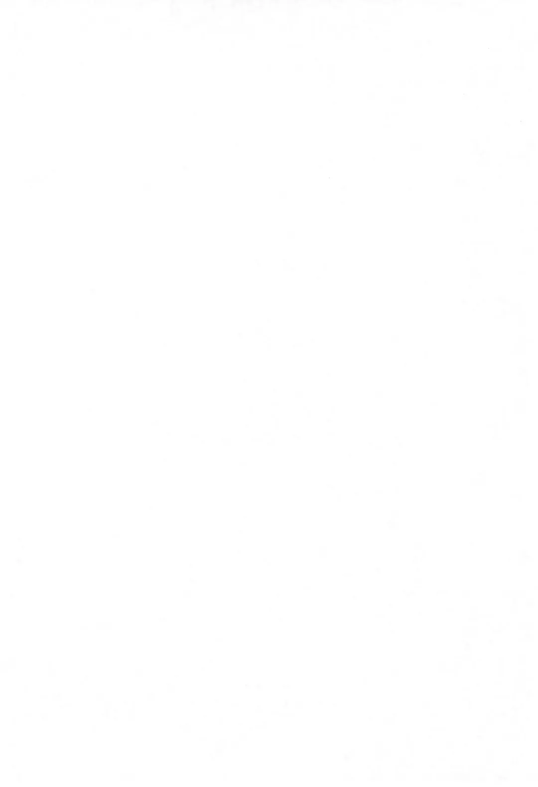 [Chouchin Ankou] Aniero Mix. 002 ~PPG2 only edition~ Fhentai - Page 4