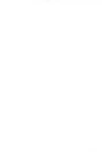 [Chouchin Ankou] Aniero Mix. 002 ~PPG2 only edition~ Fhentai - Page 4