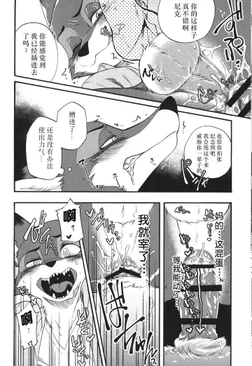 [Inumimi Moeta] Dick Wilde Fhentai - Page 13