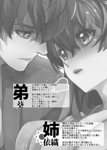 [Heizo - Kitoen] InCha Otouto ga YouCha Aneki o Netoru made 3 Fhentai - Page 3