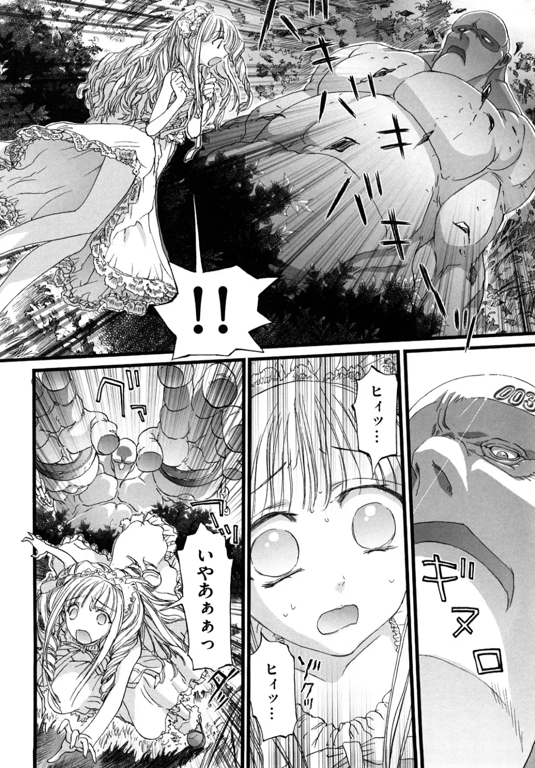 [Nikukiu-] Shoujo Koshouchuu Fhentai - Page 25