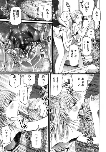 [Nikukiu-] Shoujo Koshouchuu Fhentai - Page 14