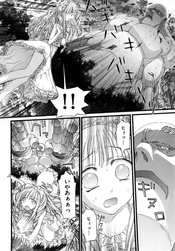 [Nikukiu-] Shoujo Koshouchuu Fhentai - Page 25