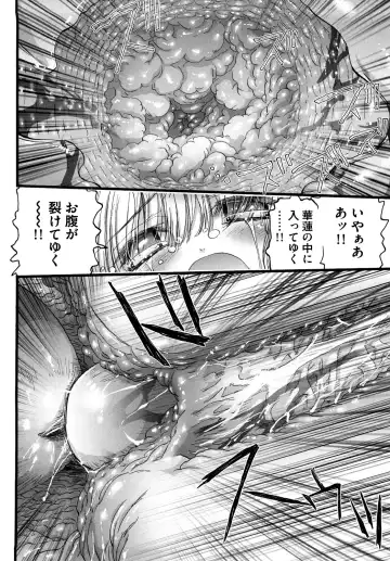 [Nikukiu-] Shoujo Koshouchuu Fhentai - Page 29