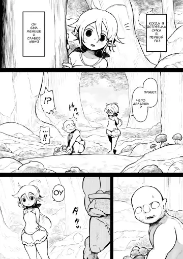 [Muigyuu] Elf to Orc no Otoshigoro | Эльф и орк взрослеют вместе Fhentai - Page 3