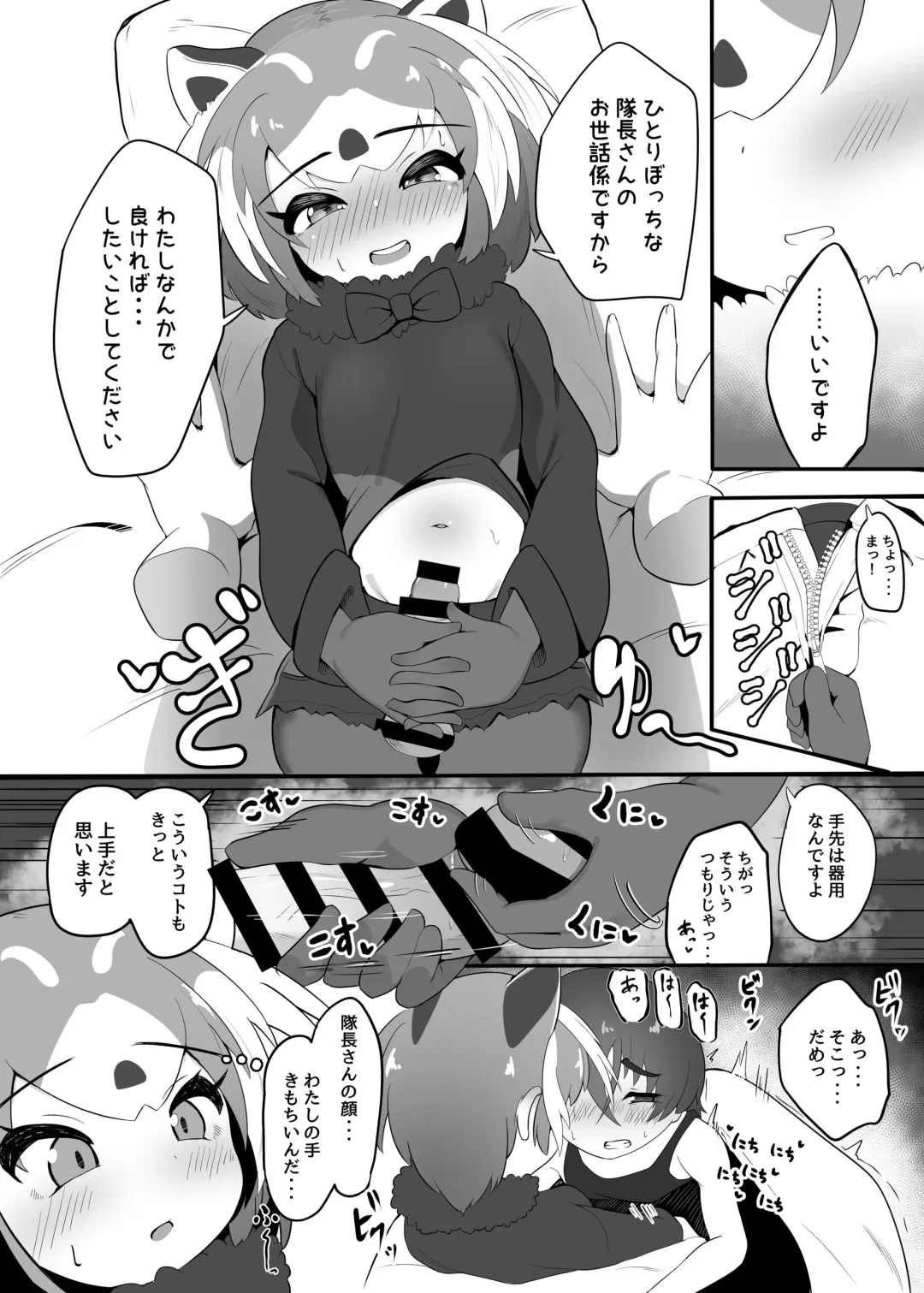 [Dull] Lesser Panda no Ecchi na Hon Fhentai - Page 5