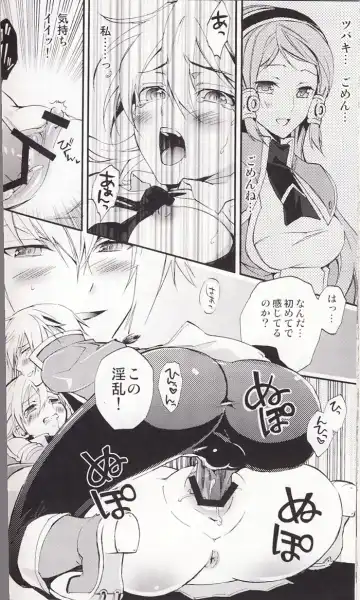 [Sumeragi] Noel Vermilion no Junan Fhentai - Page 15