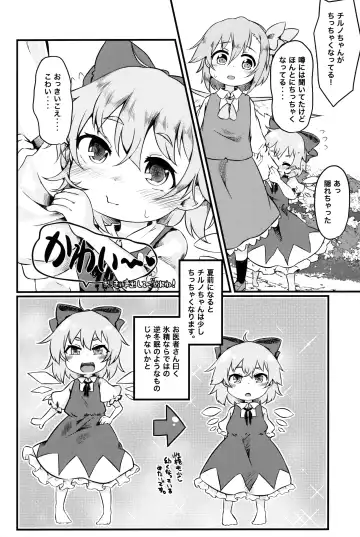 [Nakamura Subaru] Chicchai Cirno-chan ga Kawaisugiru no ga Ikenain dakara ne Fhentai - Page 5
