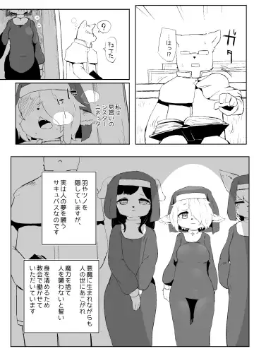 [Tenyati] Shinpou Akuma wa Ochigachi Fhentai - Page 5