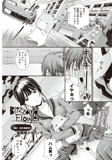 [Wanashiro Giovanna] Honey amber Fhentai - Page 71