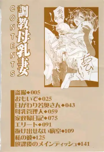 [Pegasus] Choukyou Bonyuu Zuma Fhentai - Page 3