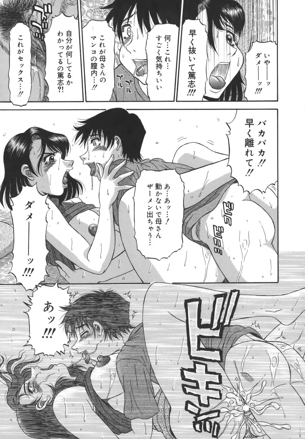 [Pj-1] Sasayaku Haha Fhentai - Page 29