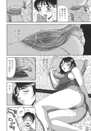 [Pj-1] Sasayaku Haha Fhentai - Page 24