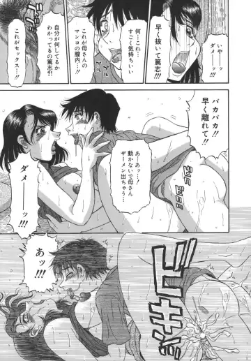 [Pj-1] Sasayaku Haha Fhentai - Page 29