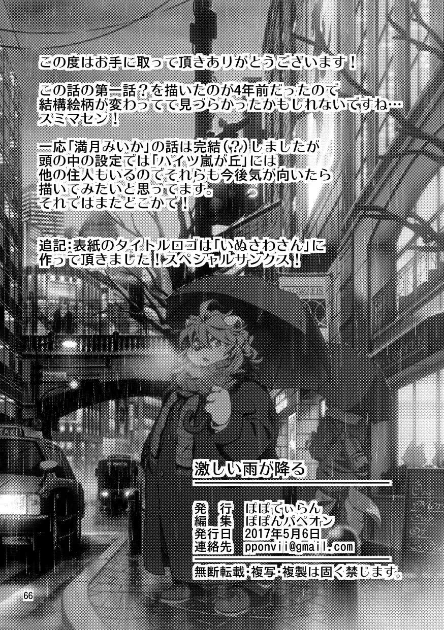 [Popon Papeon] Hageshii Ame ga Furu Fhentai - Page 66