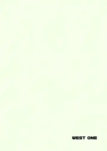 [10nin] [WEST ONE (10nin) outou Fhentai - Page 22