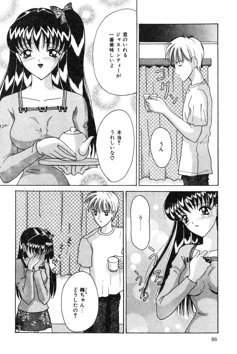 [Shinigami Kenji] Jinkou Rakuen Fhentai - Page 84