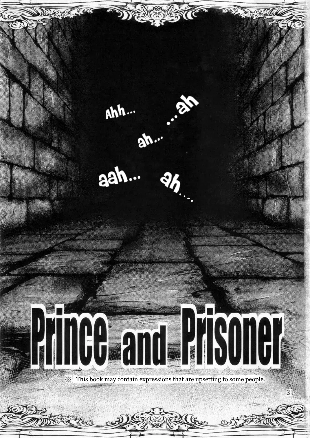 [Keso] Ouji to Ejiki | Prince and Prisoner Fhentai - Page 3